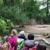 Zoo Krefeld 2019